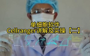 内部视频｜单细胞及空间转录组设计分析Cellranger讲解及实操二