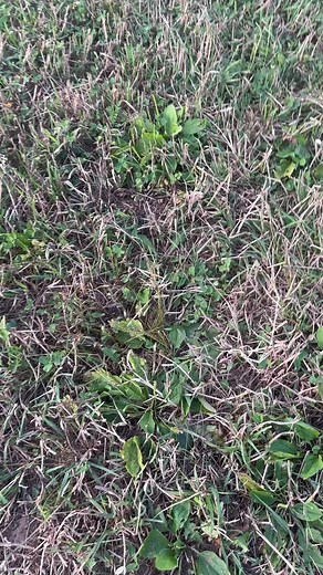 5.4K views · 79 reactions | Tantric on Reels | Facebook