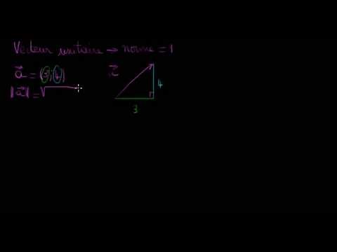Coordonnées du vecteur unitaire colinéaire à un vecteur de coordonnées données