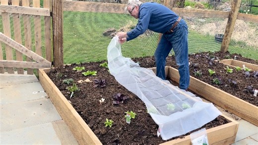 Watch Garden Insect Netting - Solved My Insect and Bird Problem! on Amazon Live