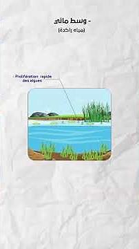 2 BAC PC POLLUTION: Eutrophication