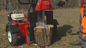 20K views · 151 reactions | "Have not found anything this monster...