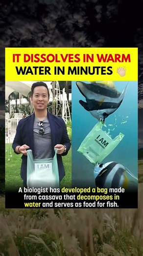Plastic Bag That Dissolves in Water 😳 Eco Invention Changing the World!#EcoFriendly