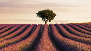 Five Reasons Why a 24-105mm Zoom Is a Must-Have Lens