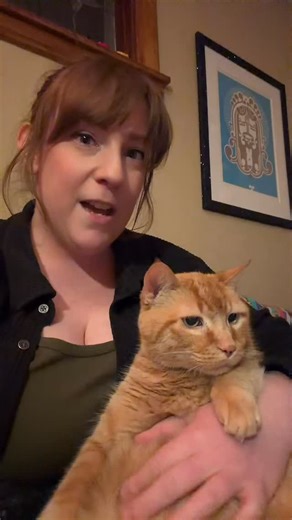 Gus 💩 | Megacolon Kitty on Instagram: "🚫🚫PUMPKIN PUREE🚫🚫 Why it isn’t great for ✨some✨ megacolon kitties. Disclaimer: I’m not a veterinarian and this is not medical advice. All cats are different and require different care plans. Please consult your vet before making any changes to your pet’s diet. Gus is on a veterinarian-supervised care plan, and his vet team has advised against adding fiber to his diet at this time because of the reasons stated in the video. #megacolon #catconstipation #