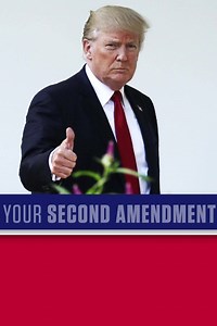 Democrats have finally admitted what they truly want: a repeal of the Second Amendment. It’s up to the American people to stand strong and defend our freedoms. Sign the petition: THE SECOND AMENDMENT WILL NEVER BE REPEALED. | Donald J. Trump