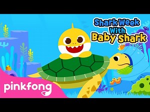 Baby Shark and Sea Turtles | Shark Week with Baby Shark | Pinkfong Songs for Children - Videos For Kids