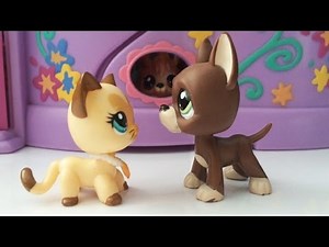 Littlest Pet Shop: Best Friends (díl #2: Leo a Angela)