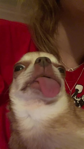 Minioncoholics Unite: Embrace the Fun!