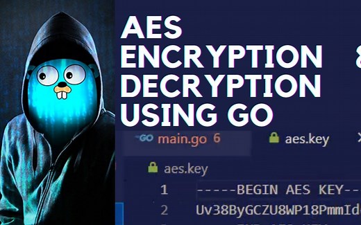 Go语言区块链与密码学 ( Blockchain and Cryptography Golang )