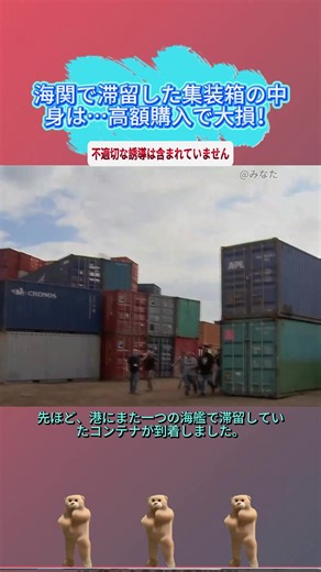海関で滞留した集装箱の中身は…高額購入で大損！ #拍売 #集装箱 #失敗 #洗車用品 #大損