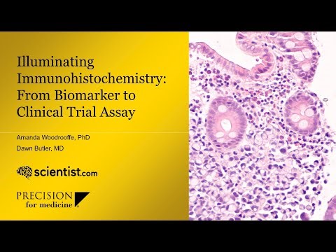 Illuminating Immunohistochemistry: From Biomarker to Clinical Trial Assay