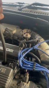 How to perform Cylinder Compression test on Mazda B8 180 #shortvideo #automobile