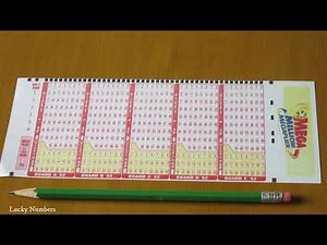Mega Millions Lottery Slip Ticket