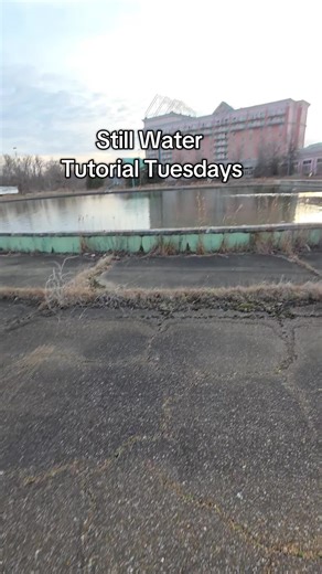 RangerRickTV (@rangerricktv)’s videos with original sound - RangerRickTV