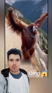 92K views · 870 reactions | The monkey jokingly pushed the man down #OMG #viral #trending #usa #foryou #fblifestyle | Old is gold | Facebook