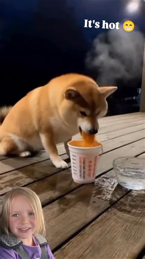 It's very hot 😁 #funny #fblifestyle | Little Julia Smith