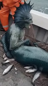 3.9M views · 23K reactions | Primal #mermaid #mermaids #viral Disclaimer: This video is for entertainment purposes only. All characters and scenes are fictional. | Cryptid Universe | Facebook