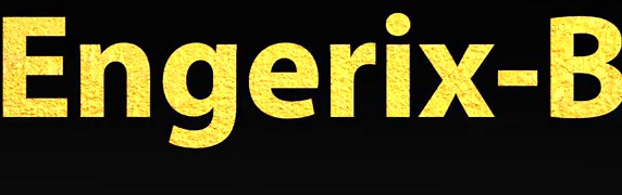 How To Pronounce Engerix B