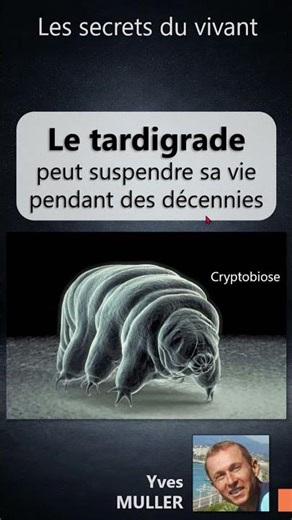 Secrets of Life #2 – The tardigrade can suspend its life for decades
