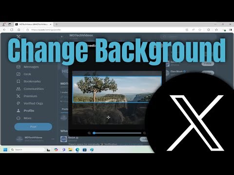 How to Change Background Image in Twitter (X) [Guide]
