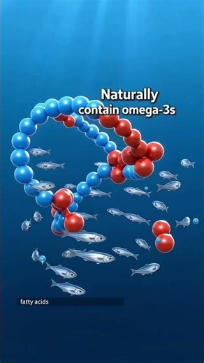 Sourcing with Clarity: How Small Cold-Water Fish Support Omega-3 Transparency