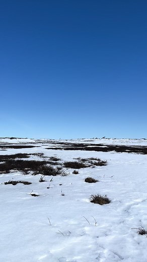 INSHADOW BAN ME TIKTOK. FREE FREE FREE POLARSTORM #foryou #foryou #viral #fyp