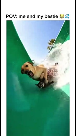 Me and my bestie on a water slide🤣#shorts #funny #bestfriend #waterslide
