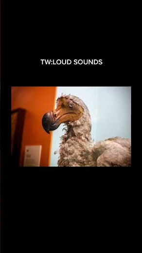 What extinct animals sounded like