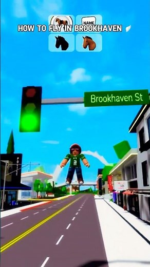 How To Fly In Brookhaven 🪽🦅 #roblox #brookhaven