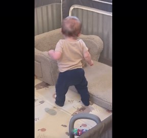 Cat Bathes Baby In Playpen