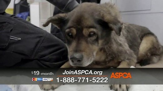 ASPCA TV Spot, 'In the Next Minute'