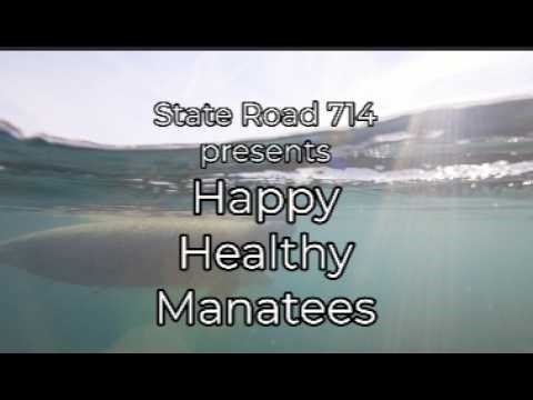 State Road 714 Happy Healthy Manatees Lyric Video