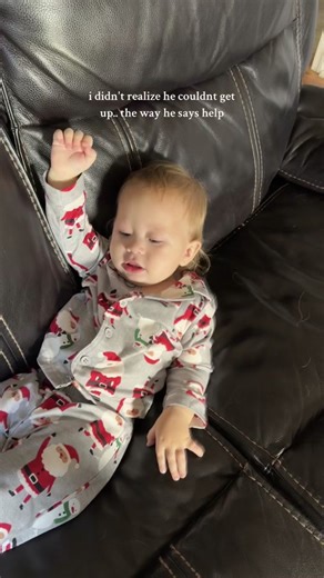 Hilarious Dog Stuck Compilation | Funny Animal Videos