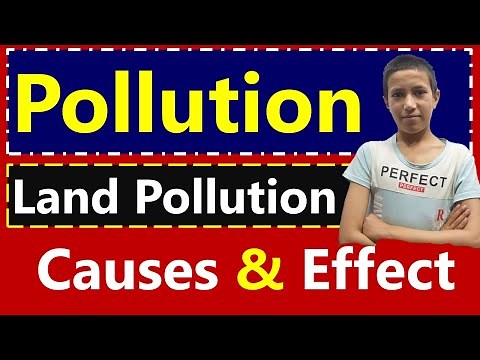 Land Pollution | Causes and Effect of Land Pollution | Pollution