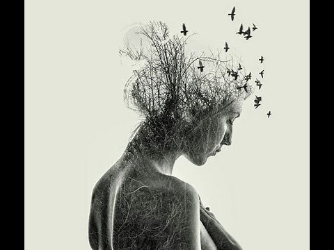 ANILAH - Medicine Chant (Official Music Video)