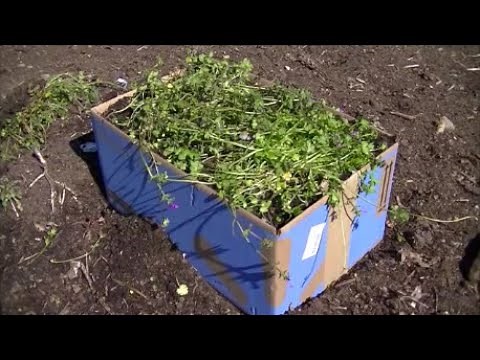 FREE | Easy | How to Build a Raised Garden Bed for planting Potatoes
