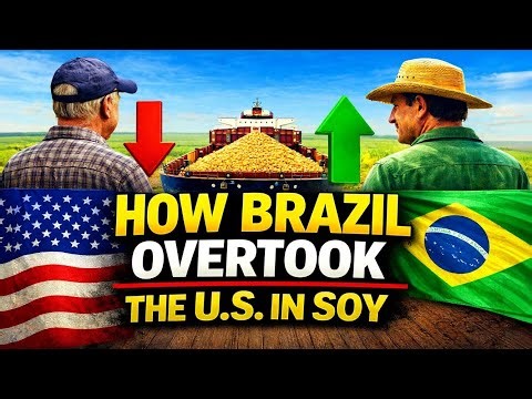 Why Brazil Dominates Soybean Exports