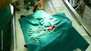 cat under anesthesia on the table while a vet operates her