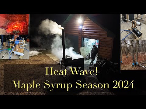 Maple Syrup 2024 - Year of the Heat Wave (Super El Nino)