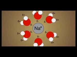 Ion dipole interaction