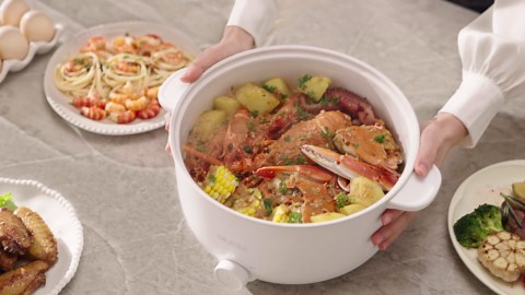 OLEGA Electric Hot Pot - 3L Portable Electric Pots with Steamer for Cooking Dual Power Adjustment with Non-stick Coating for Dorm, Office, Travel 120V