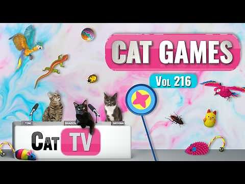 CAT Games | Ultimate Cat TV Compilation Vol 216 | 8 HOURS 🐝🐞🦋🦎🦜🐜🐭🧵