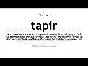 Tapir pronunciation and definition
