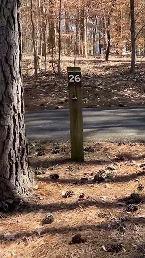 Campground video tour #lakenormannc #charlottenc