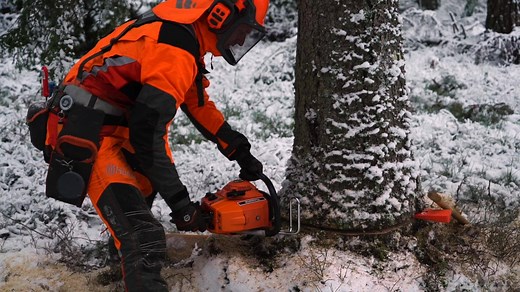 2.3K views · 82 reactions | The Husqvarna 65 – a 65CC chainsaw released in 1966 – is next up in line of our legendary chainsaws. The saw so powerful and reliable that a Canadian distributor after testing one exclaimed: "I’m throwing out my old saw brands – now we’re going to color the forest orange!” | Husqvarna | Facebook