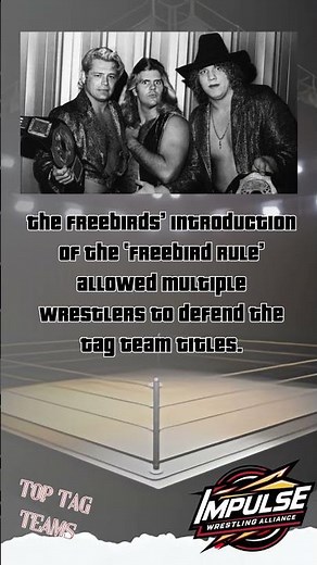 The Freebirds’ introduction of the ‘Freebird Rule’ allowed multiple wrestlers to defend the tag team