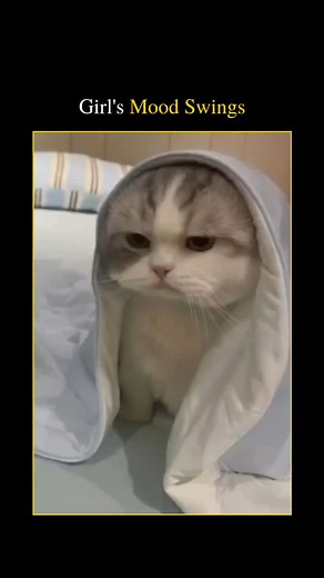 Tag your girl 💅🏻😉 . . . . . . . . [Disclaimer: No copyright infringement intended. All rights are reserved by their respective owners.] The video template featured in this content was sourced from Instagram, and the original creator is currently unknown. If you are the rightful owner and wish to receive proper credit, please feel free to reach out to me, and I will ensure appropriate acknowledgment. Please note that this video is created solely for entertainment purposes and is not meant to b