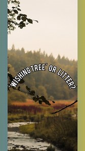 58K views · 2.1K reactions | Discouraged by the rangers, conservationists, and land-owners who manage this area - 'wishing trees' are said to have a negative impact on the surrounding flora and fauna, as inevitably, this practice, where people don't know any better, often extends to living trees nearby which can cause infection and rot. What's your thoughts?  #forest #opinion #wishing #tree #thoughts | Josh Donaldson | Facebook