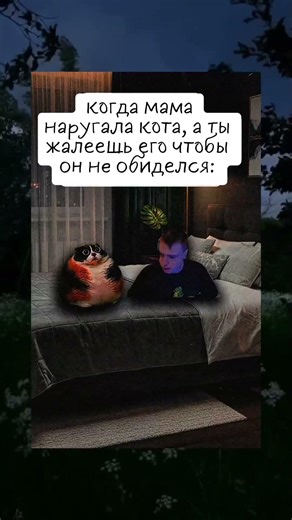#юмор #милота #мем #котость #рофл #жиза